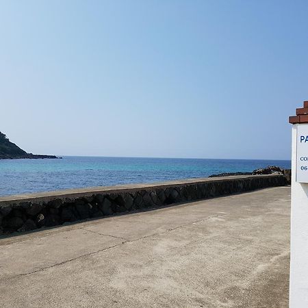 Park Beach Hotel 済州市 エクステリア 写真